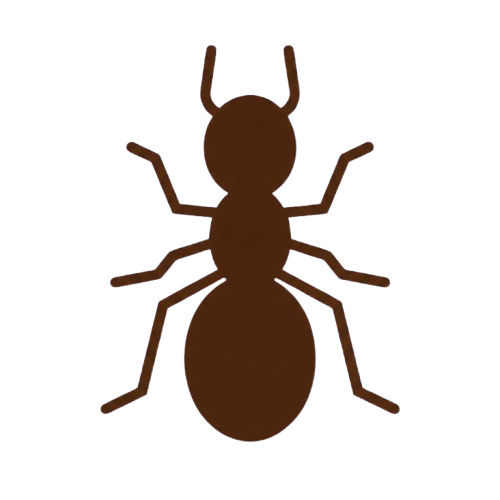 Ant Colony Logo